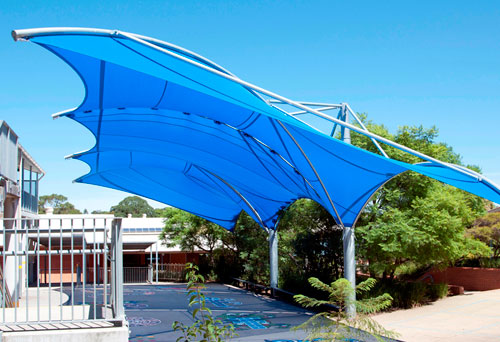Cicada Shade Structures