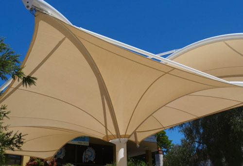 Cicada Shade Structures