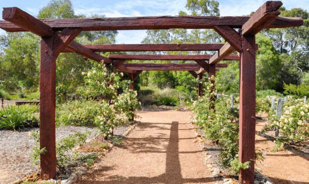 Arbor structure in the garden