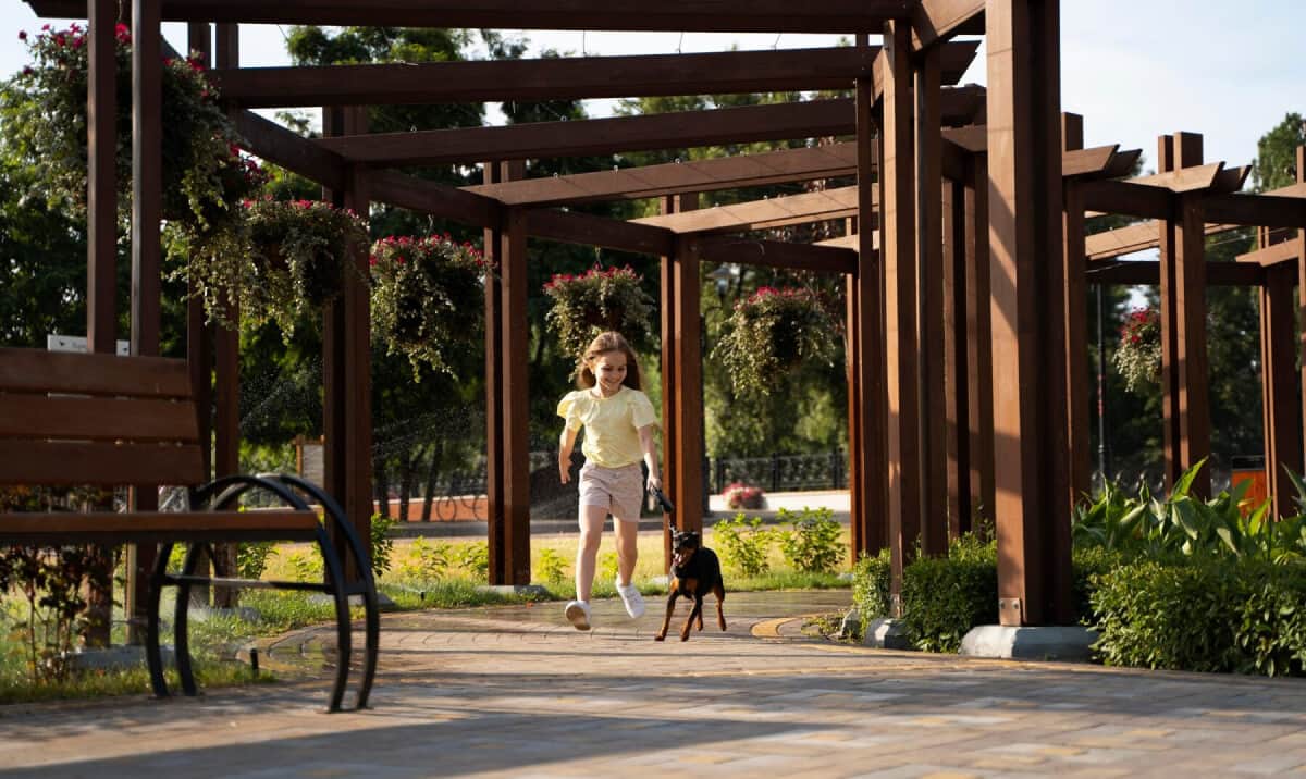 Pergola vs. Arbor: Which is Right for Your Garden?